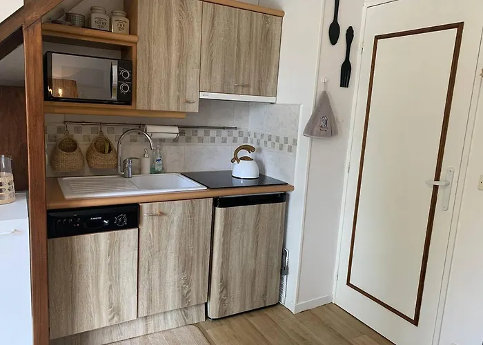 Lejlighed Duplex A 100m De La Plage, Balcon Et Parking Gratuit - 4 Pers. - Fr-1-465-108